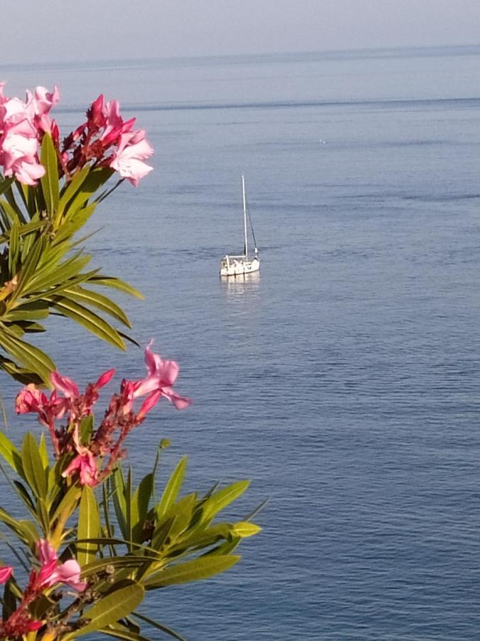 Las Palmeras Almuñécar エクステリア 写真