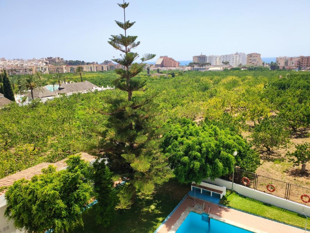 Las Palmeras Almuñécar エクステリア 写真