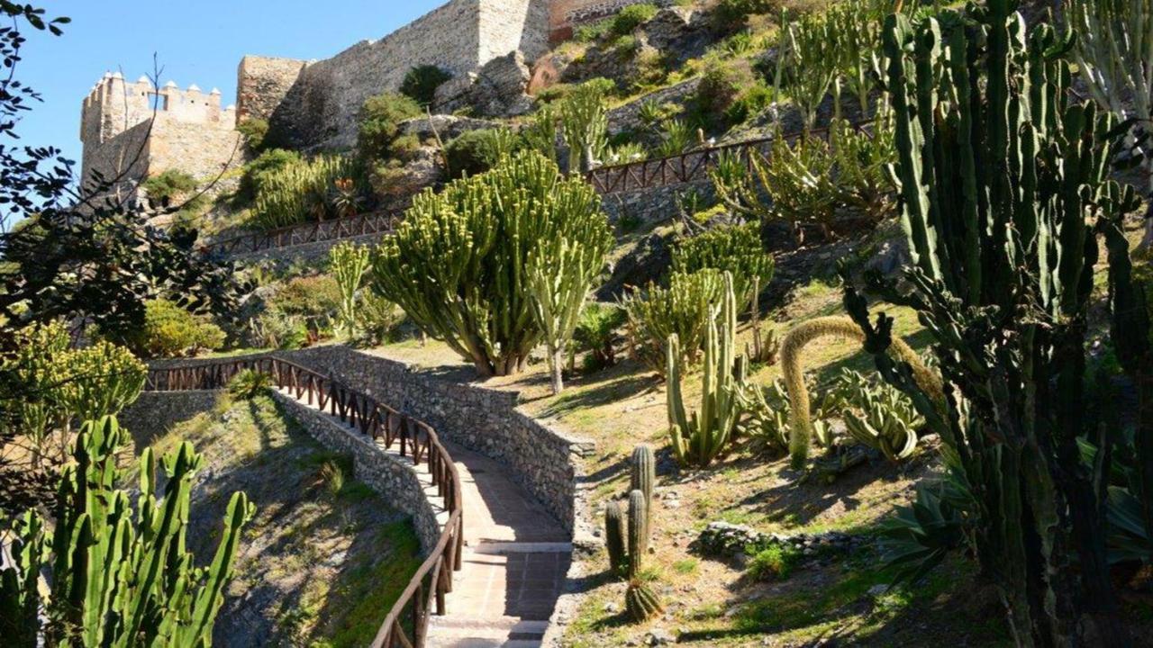 Las Palmeras Almuñécar エクステリア 写真