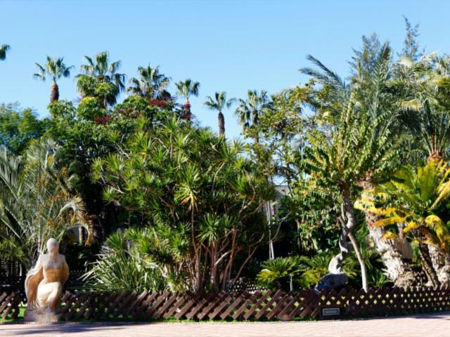 Las Palmeras Almuñécar エクステリア 写真